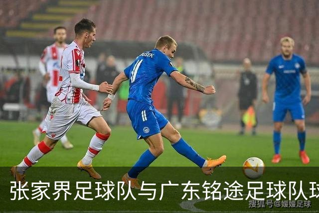 张家界足球队与广东铭途足球队球员赛中发生肢体冲突 官方通报